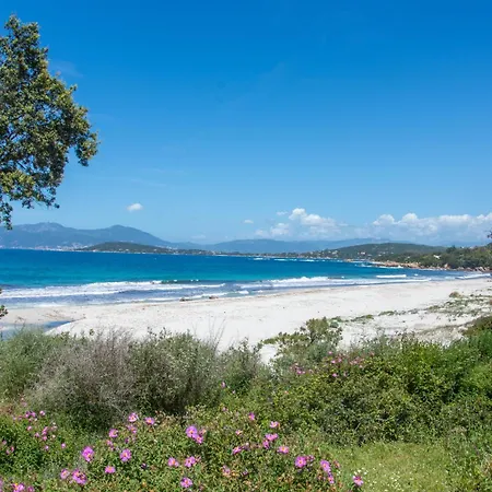 Apartamento Beau T2 A Proximite Des Plages Grosseto-Prugna